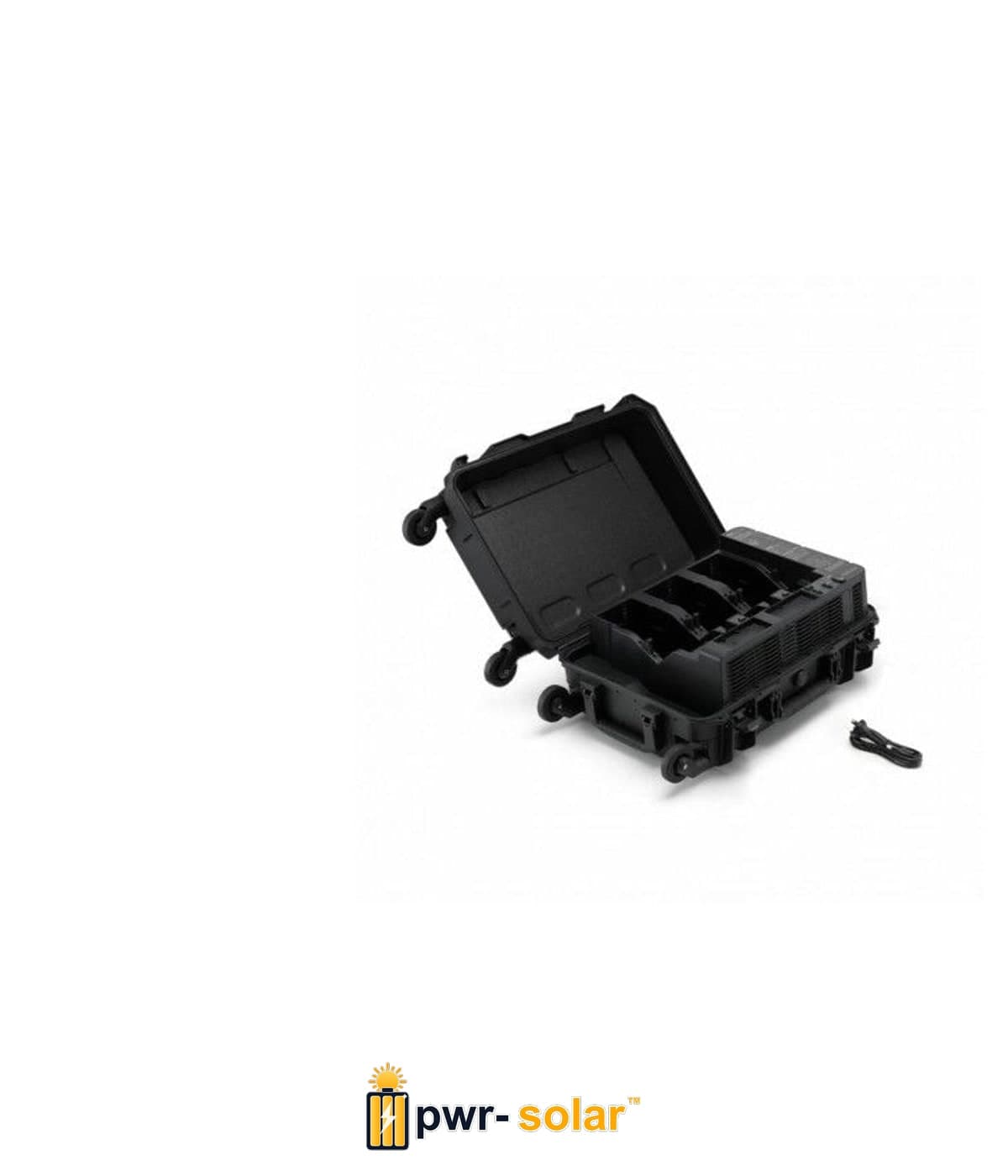 BS100 Intelligent Battery Station