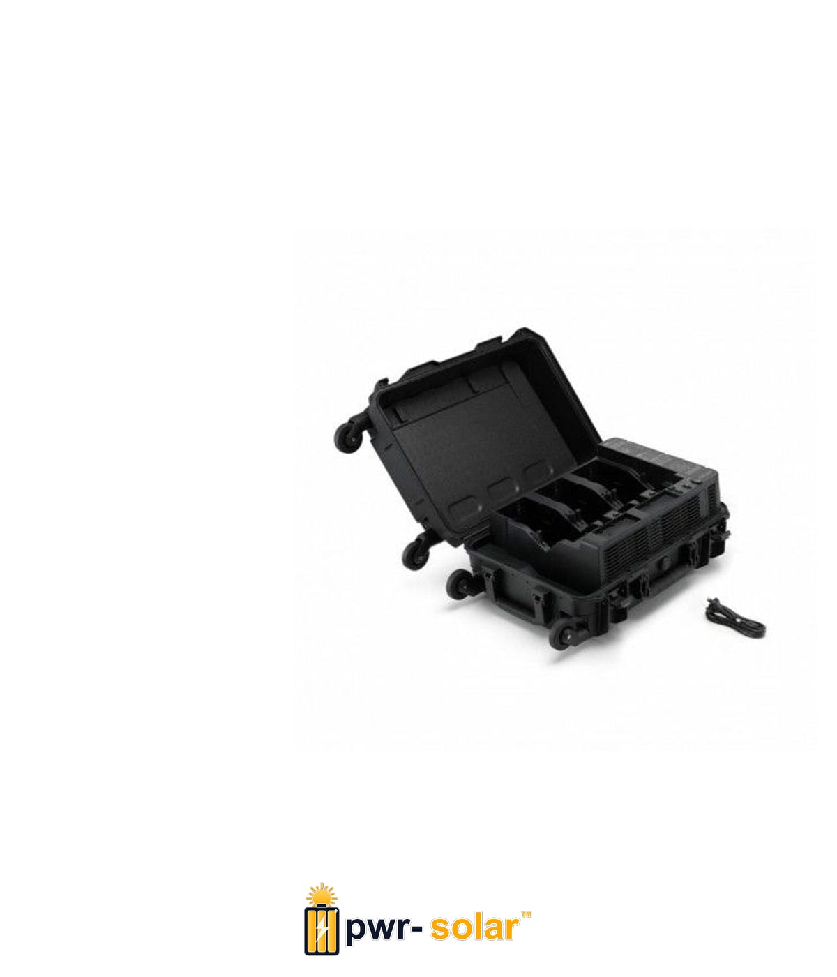 BS100 Intelligent Battery Station